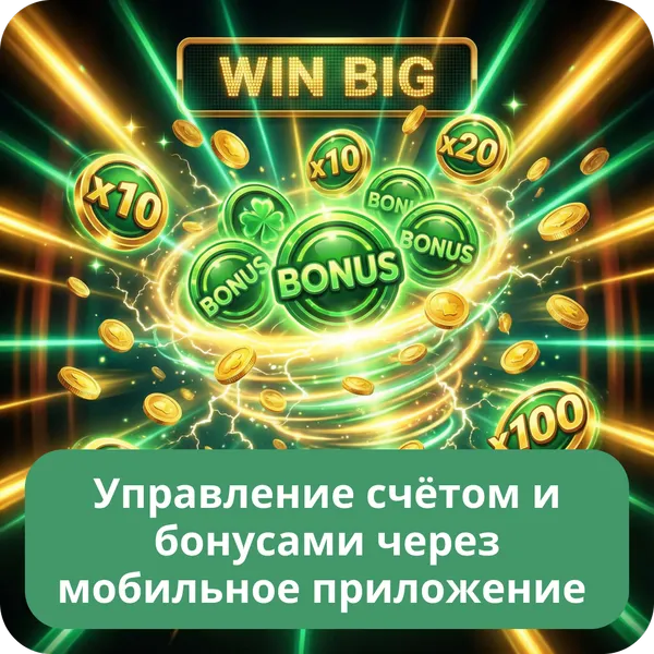 Управление счётом и бонусами через мобильное приложение